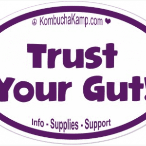 KombuchaKamp Sticker Pack Online